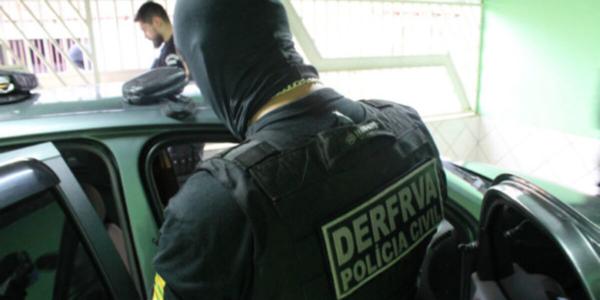 Operação Nivis, da DERFRVA, cumpre 15 mandados em GO e MT