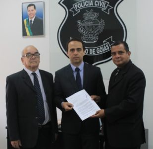 cristalina reunião