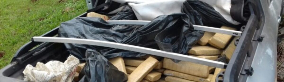 Operação policial conjunta em Jataí apreende meia tonelada de maconha