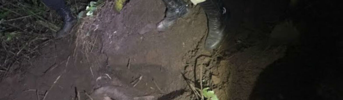 Presa dupla acusada de matar e enterrar corpo de fazendeiro, em Caturaí