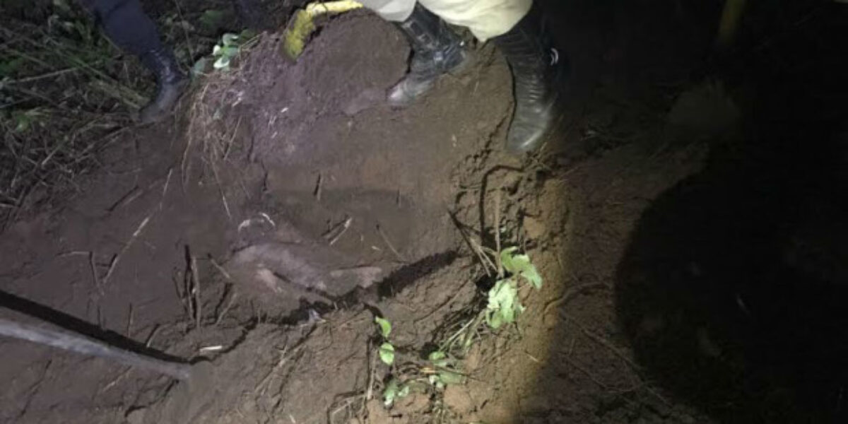 Presa dupla acusada de matar e enterrar corpo de fazendeiro, em Caturaí