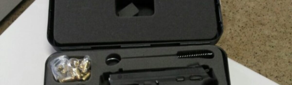 Operação da 2ª Deam de Goiânia resulta em prisão e apreensão de armas