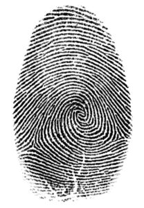 fingerprint