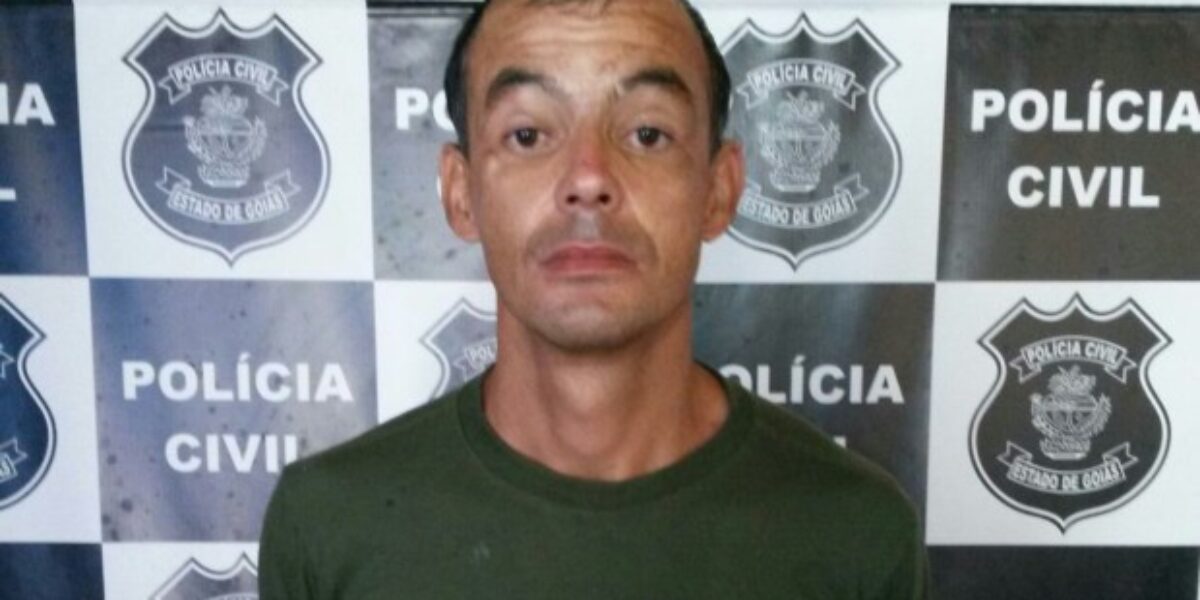 Policiais civis e militares de Pirenópolis prendem suspeito de furtos