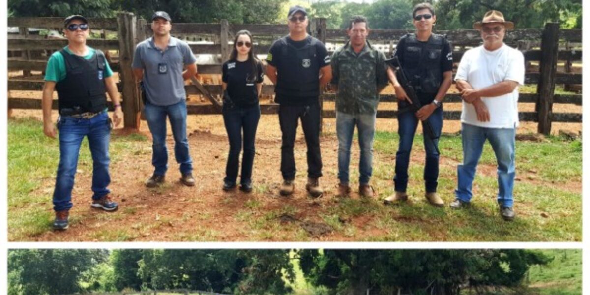 Gado furtado em Catalão é achado em fazenda de Minas Gerais