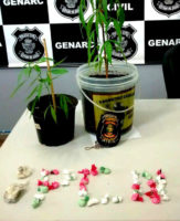 WhatsApp Image 2017-03-18 at 071