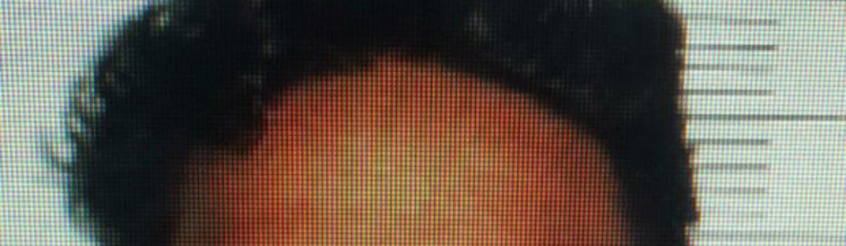 1ª DDP prende grande receptador de celulares roubados em Goiânia