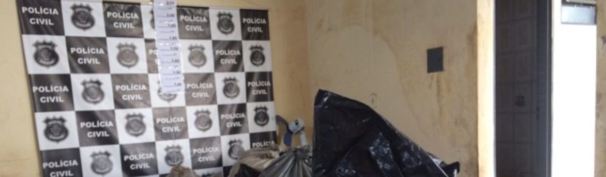 PC apreende mais de 4 mil peças de roupas falsificadas em Jaraguá