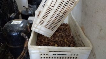 WhatsApp Image 2017-04-28 at 07.25.00