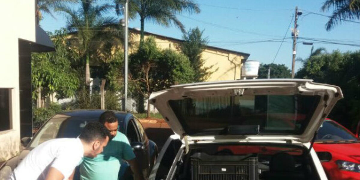 Empresária é presa em Rio Verde por fabricação ilegal de produtos de beleza