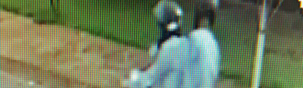 DIH apresenta dupla suspeita de matar homem por suposto furto de celular