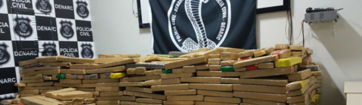 Denarc apreende 700 kg de maconha e prende 7 membros de organização interestadual de tráfico de drogas