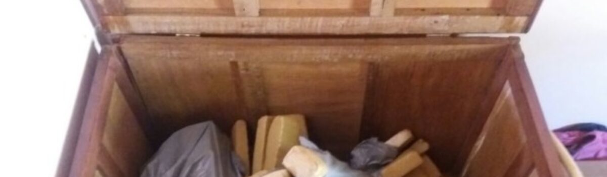 Genarc apreende 55 tabletes de maconha em Jataí