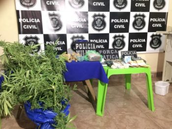 maconha aragarças