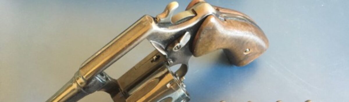 Homem é preso em flagrante por posse irregular de arma de fogo