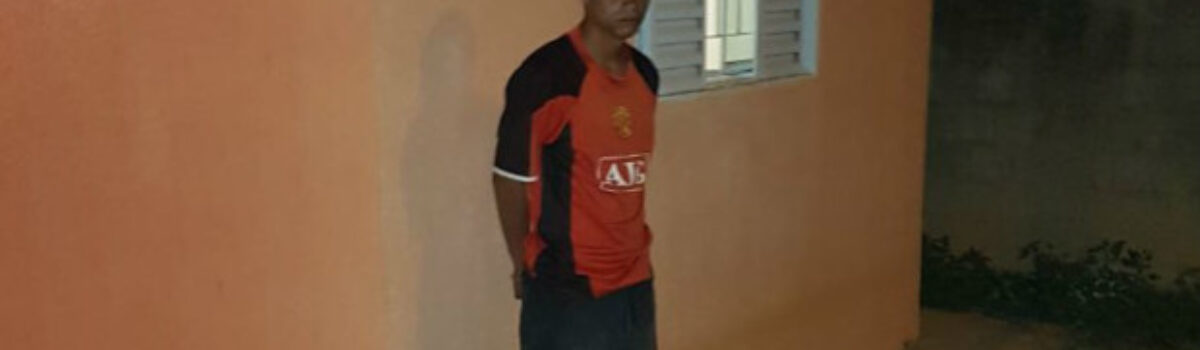 Genarc de Águas Lindas localiza oito pés de maconha sendo cultivados em quintal