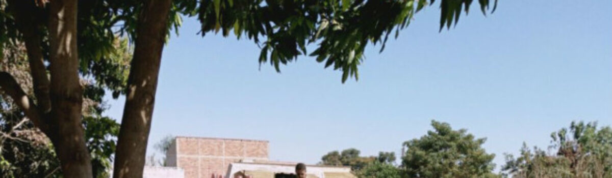 Imóvel usado para esconder veículos roubados e furtados é localizado pela 16ª DDP