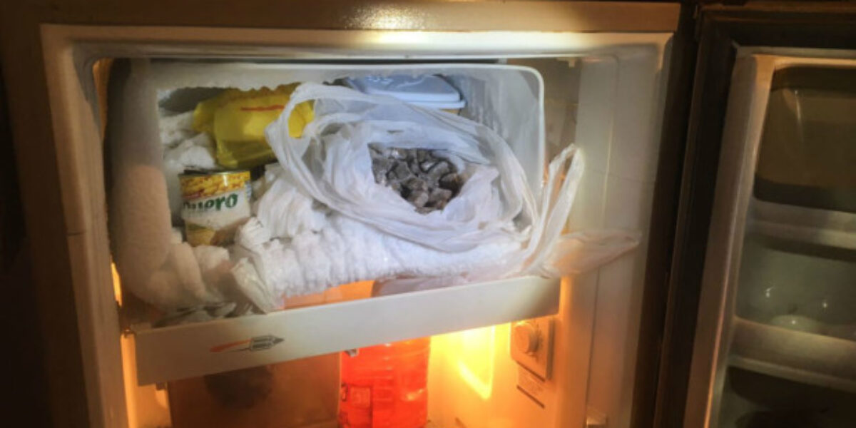 Operação em Ipameri encontra drogas em congelador de bar
