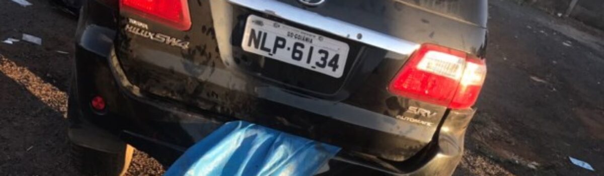 Novilha é encontrada em carro roubado que se acidentou durante perseguição policial