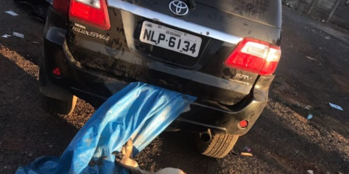 Novilha é encontrada em carro roubado que se acidentou durante perseguição policial