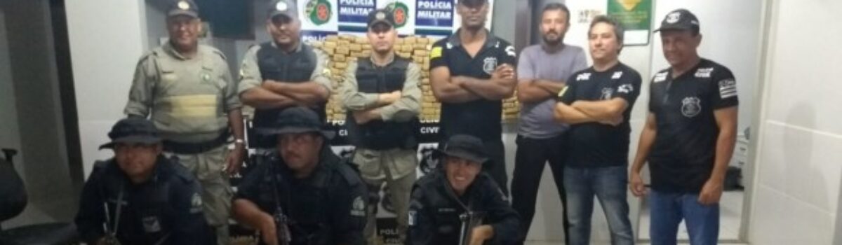 Ação conjunta da PC e PM apreende 250 kg de maconha em Monte Alegre
