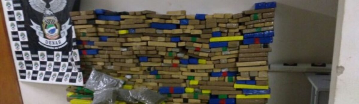 Denarc-GO e polícias do PR e MS realizam apreensão de quase 1 tonelada de maconha