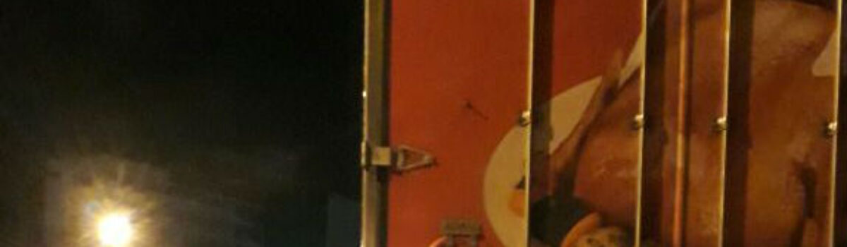 Central de Flagrantes de Anápolis recupera caminhão e carga avaliada em R$ 30 mil