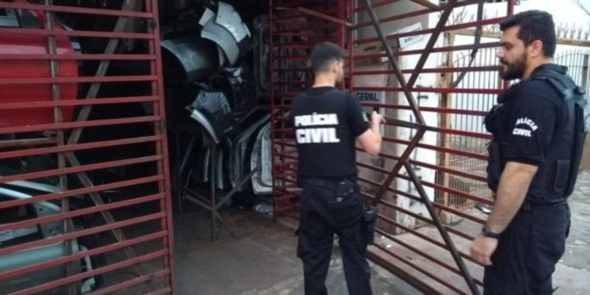 Operação contra roubo de veículos prende 17 pessoas em Goiás