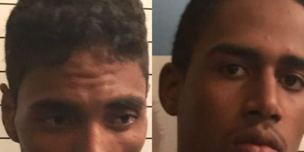 Polícia Civil recupera objetos furtados em escola de São Domingos