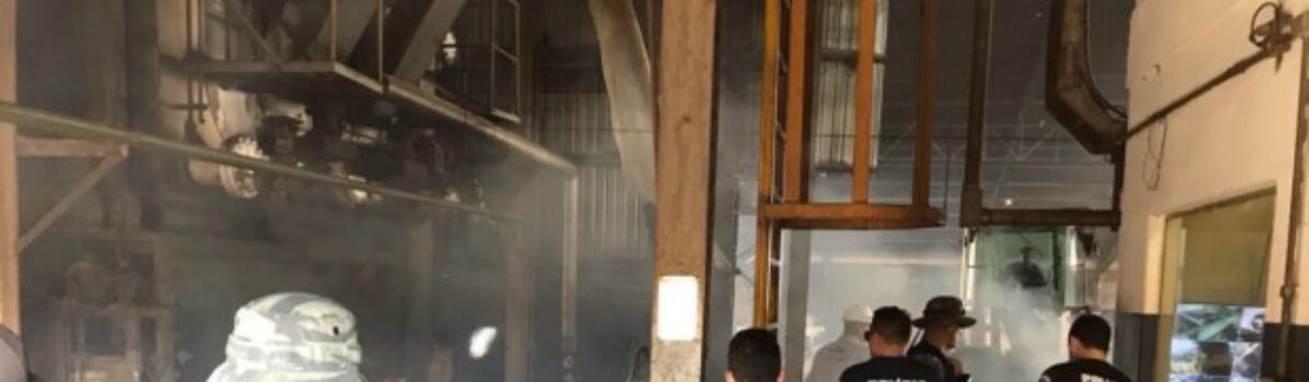 Polícia Civil incinera mais de 8 mil quilos de drogas em Rio Verde