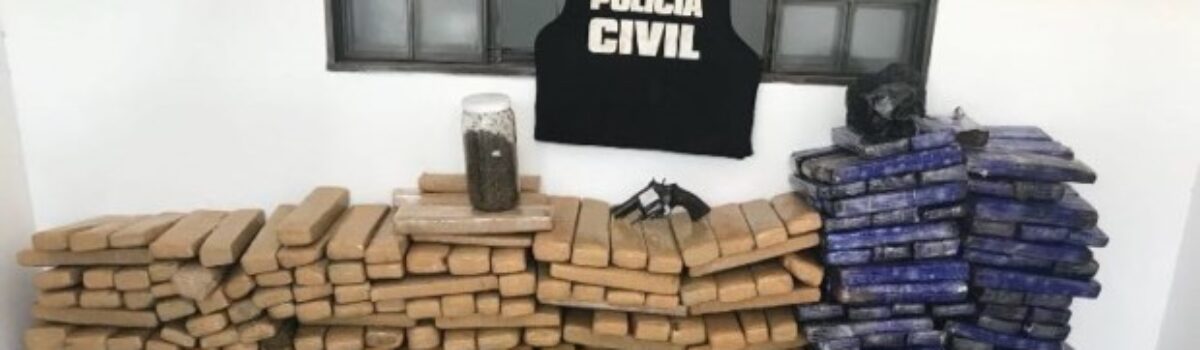 Polícia Civil de Rio Verde apreende aproximadamente meia tonelada de drogas