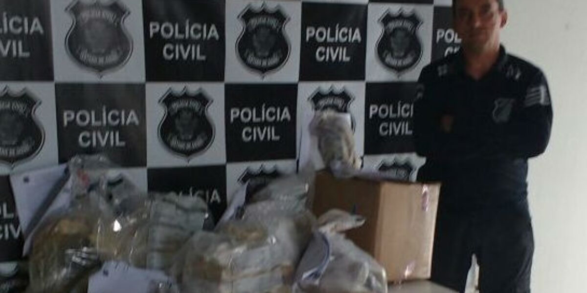 6ª DDP de Anápolis encaminha 50 kg de drogas apreendidas para incineração