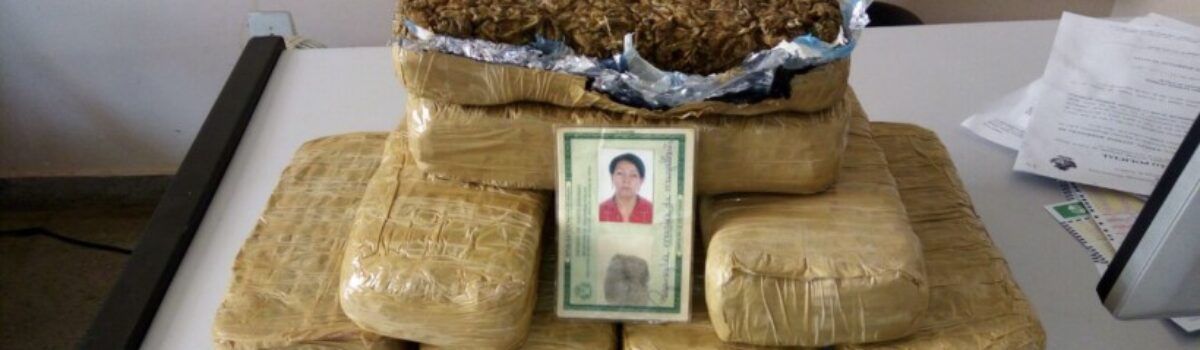 Equipe da 15ª DDP de Goiânia prende mulher com 5 quilos de maconha tipo skank