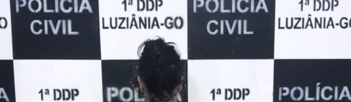 Polícia prende mulher por fraude processual em Luziânia