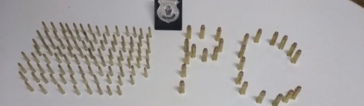 Polícia de Porangatu prende suspeito de roubar açougue da cidade