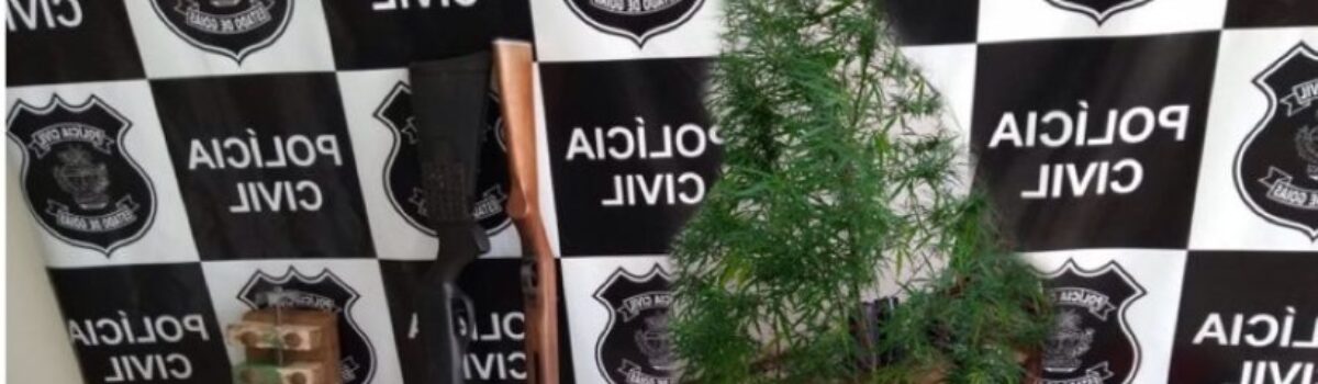 Polícia apreende armas, drogas e sementes de maconha em São Miguel do Passa Quatro