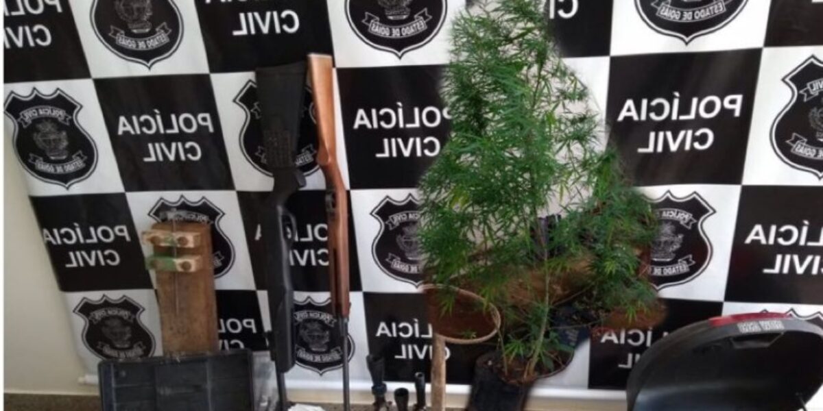 Polícia apreende armas, drogas e sementes de maconha em São Miguel do Passa Quatro