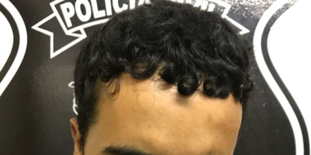 Polícia Civil de Goiânia prende suspeito de agredir companheira