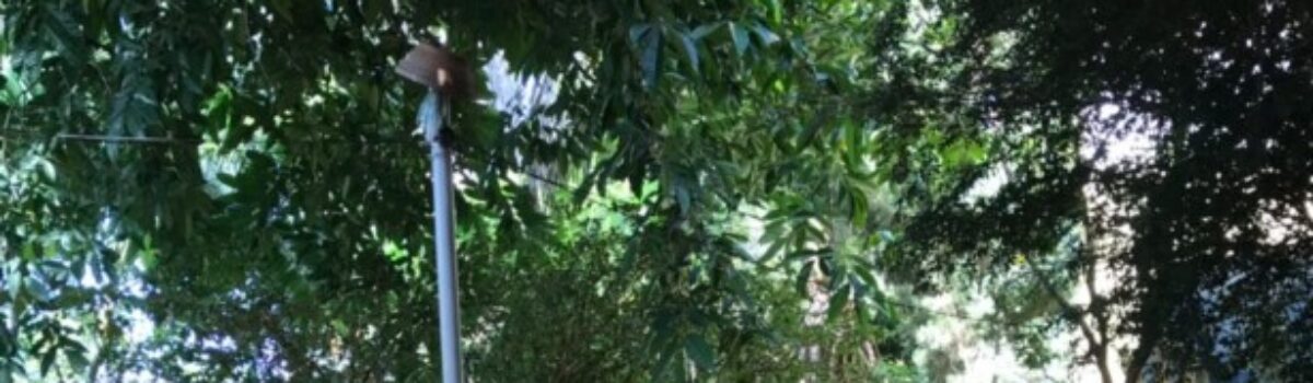 Comunidade Terapêutica é interditada por desacordo com a lei