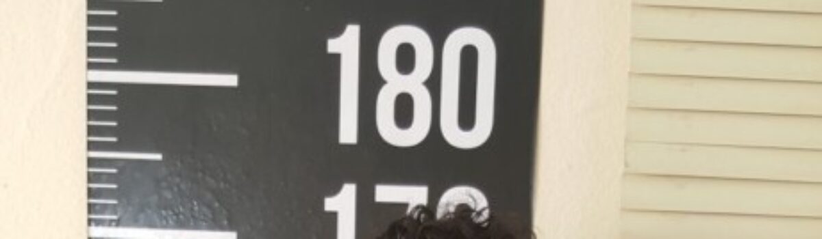 Homem tenta assaltar mulher em imediações de delegacia e acaba preso