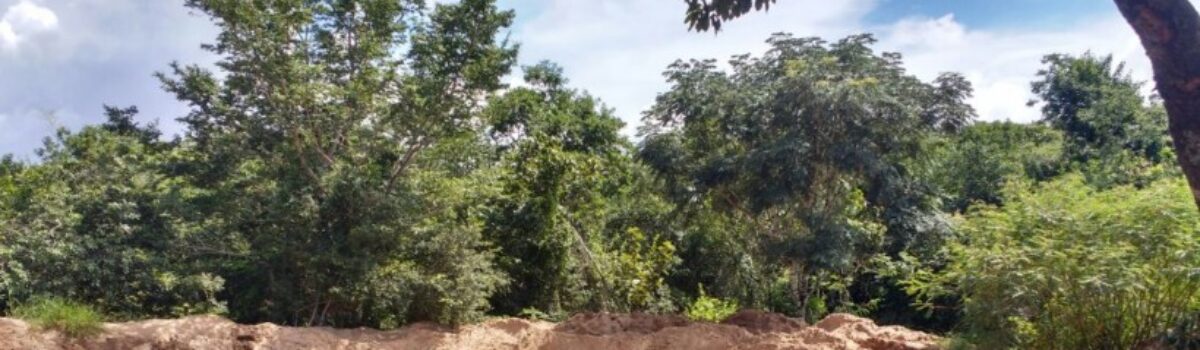 Polícia Civil de Mineiros prende suspeitos por crime ambiental