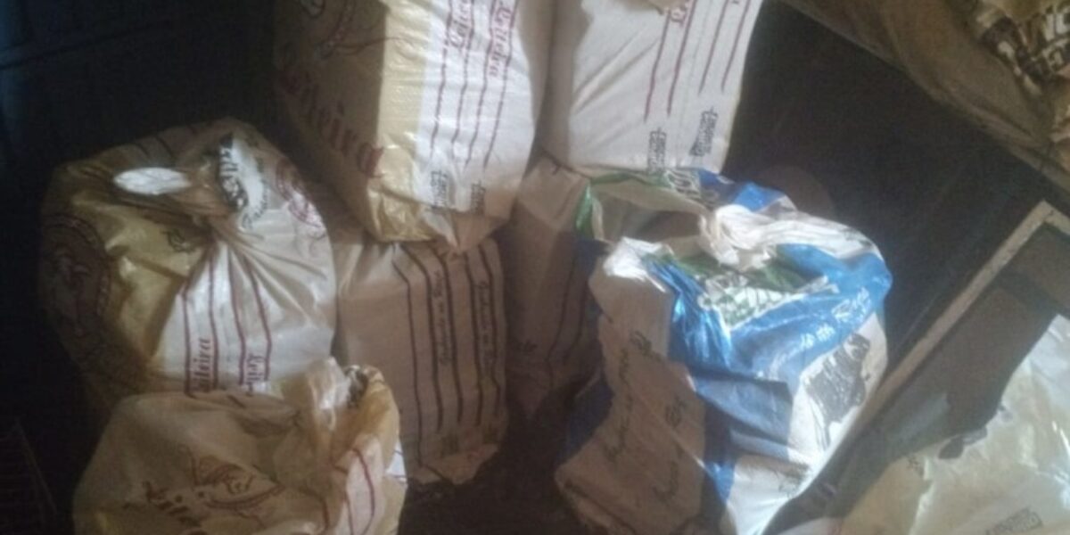 Polícia de Rio Verde apreende mais de 300kgs de maconha