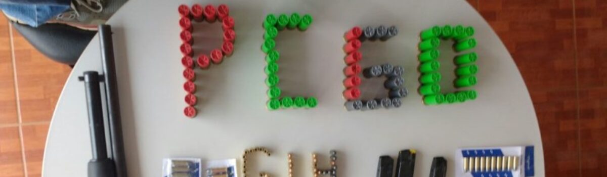 GIH de Luziânia prende universitário em flagrante na posse de um arsenal de armas de fogo e munições de grosso calibre