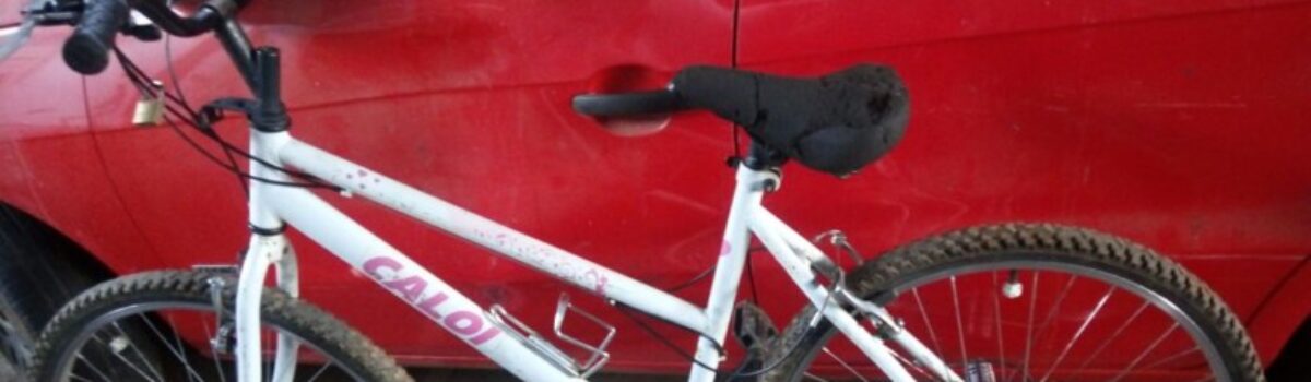 PC recupera objetos furtados e prende os autores em Aparecida