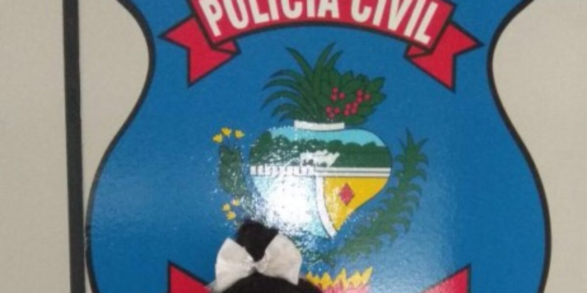 Polícia Civil de Aragoiânia prende foragida da Justiça