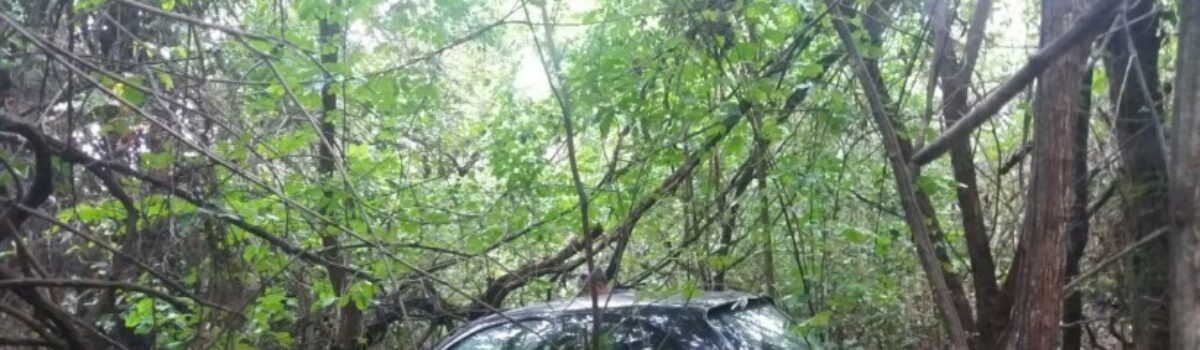 Policiais de Minaçu localizam em matagal veículo que havia sido roubado