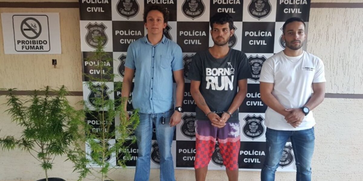 Polícia Civil prende homem que plantava maconha em Itaberaí