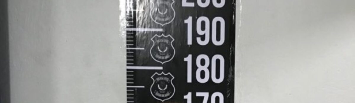 2ª DP de Goiânia prende suspeito por cometer roubo majorado