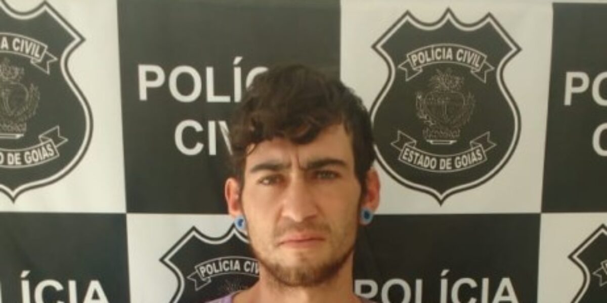 Polícia Civil de Vianópolis prende indiciado pela prática de 7 furtos