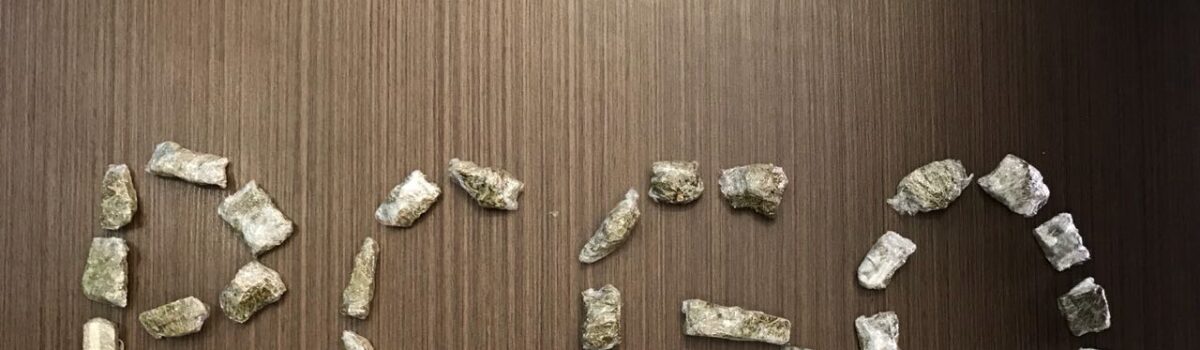 Genarc prende mãe e filho por tráfico e associação para o tráfico